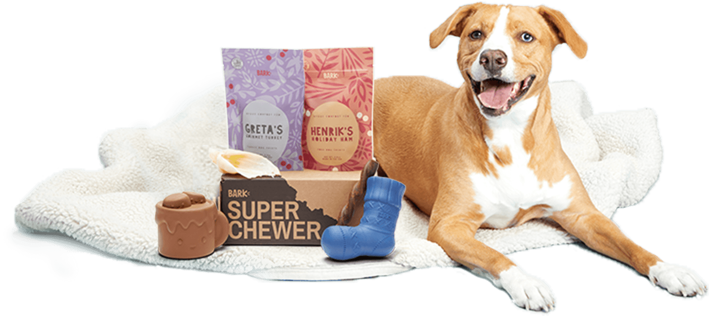 Dog with Hygge Super Chewer Box and Toys