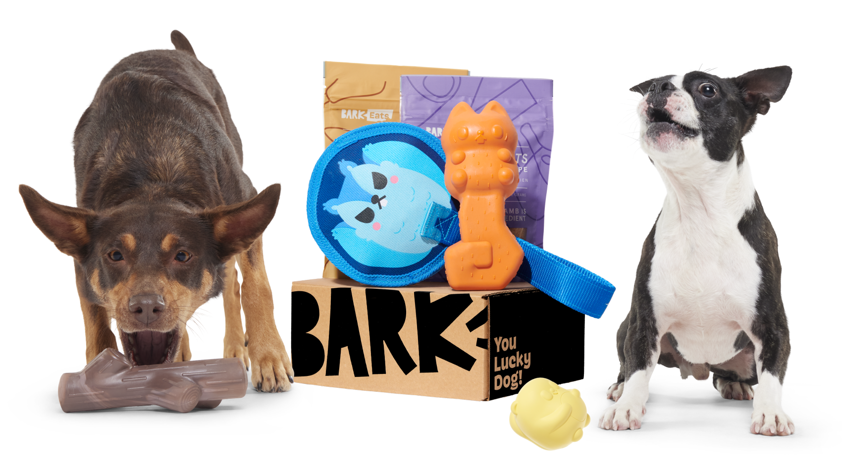 Give the Gift of Super Chewer BarkBox